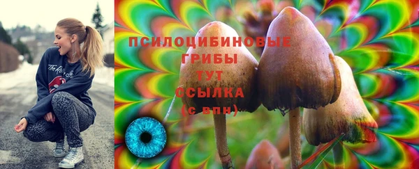 ПСИЛОЦИБИНОВЫЕ ГРИБЫ Володарск