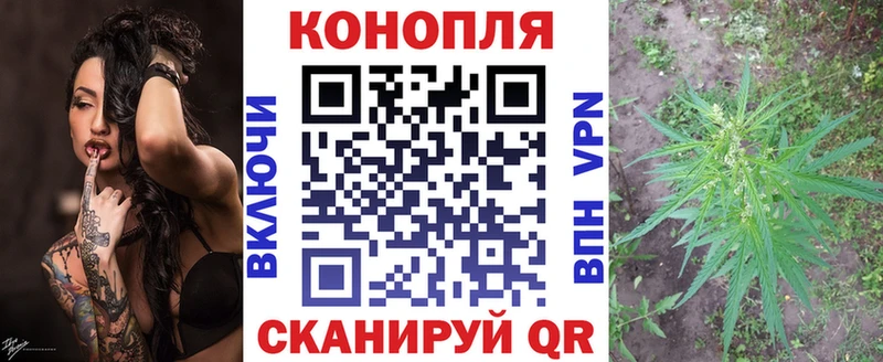 Бошки марихуана OG Kush  это телеграм  Иннополис  где продают наркотики 